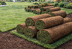 Hazır Rulo Çim Uygulaması ve Satışı